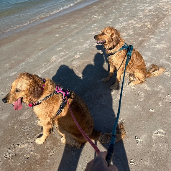 Meet your Posher, Linda - Picture 2 of 4